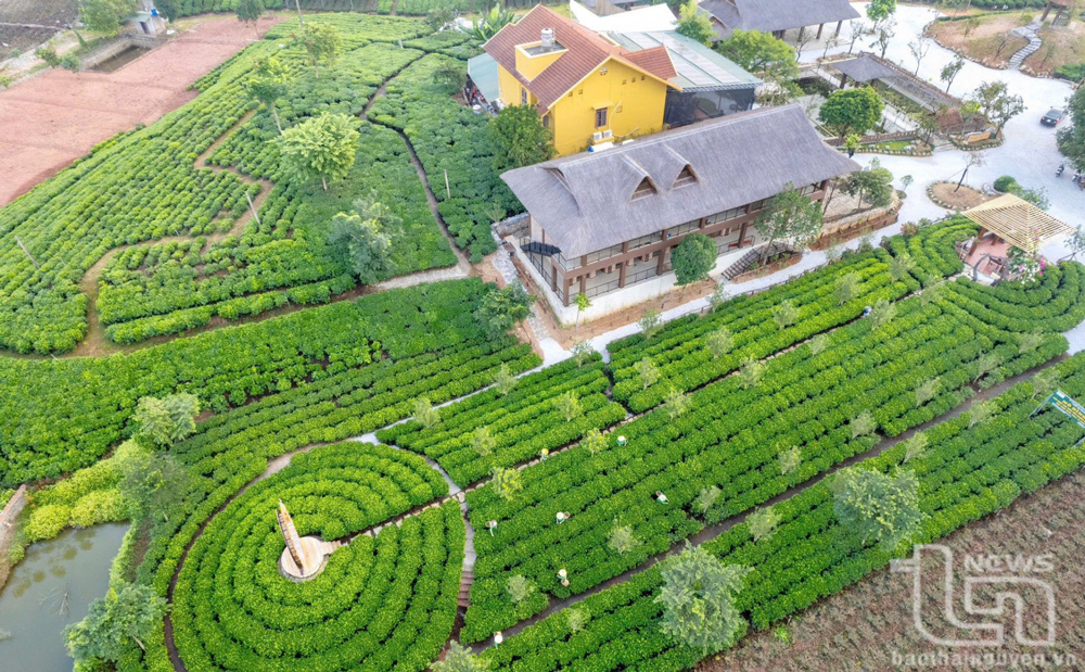 Hợp tác xã trà và du lịch cộng đồng Tiến Yên (xã Tân Cương, TP. Thái Nguyên) đã đầu tư cơ sở vật chất đồng bộ để thu hút du khách.