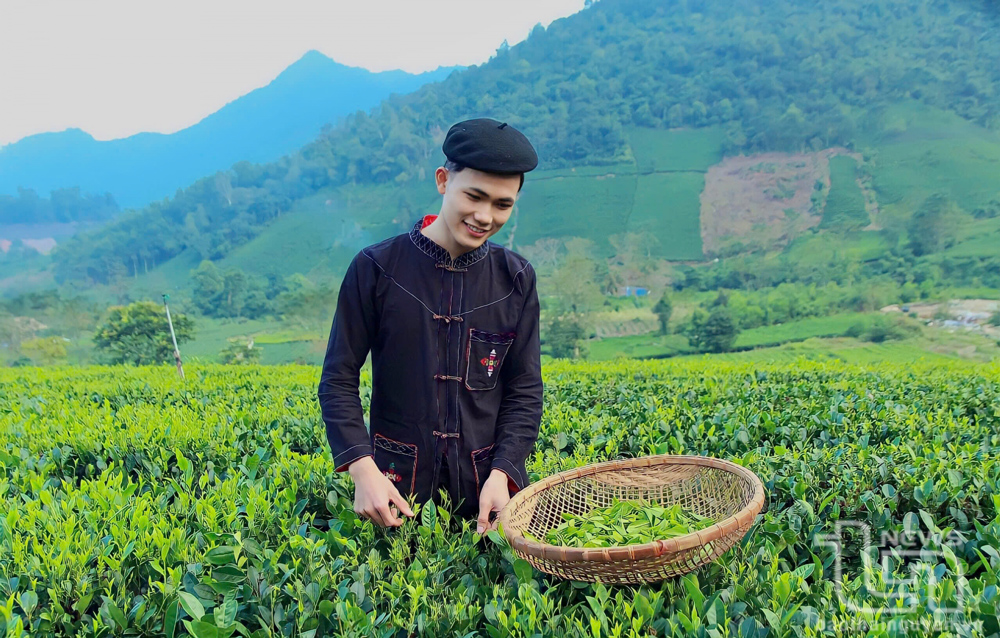 Cách thu hút du khách của những nông dân thế hệ mới