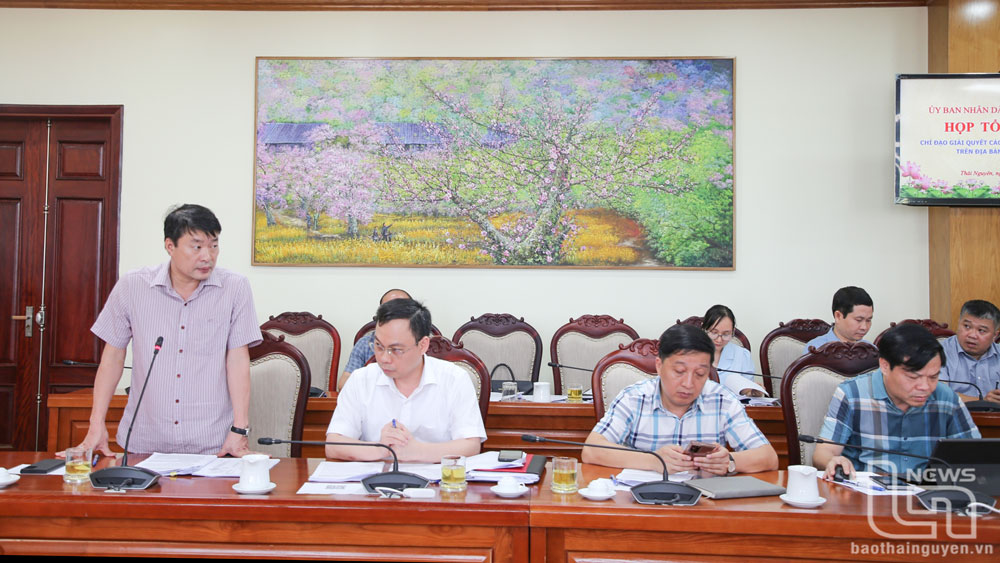 Thành viên Tổ công tác báo cáo tại Hội nghị.