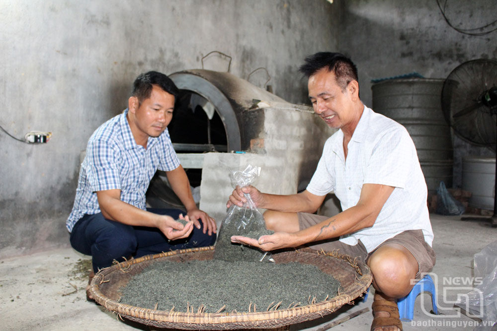 Trong các dự án giảm nghèo, TP. Phổ Yên quan tâm thực hiện Dự án đa dạng hóa sinh kế, phát triển mô hình giảm nghèo với việc hỗ trợ các hộ nghèo, cận nghèo, mới thoát nghèo phát triển sản xuất, kinh doanh, nhằm tạo việc làm, cải thiện thu nhập.