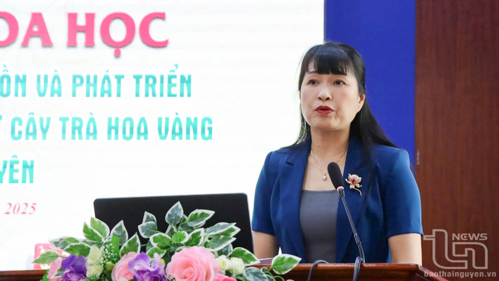 Đồng chí Hà Thị Bích Hồng, Bí thư Huyện ủy Võ Nhai, phát biểu tại Hội thảo.