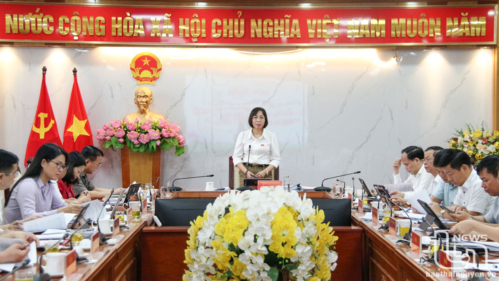 Thẩm tra các tờ trình và dự thảo nghị quyết