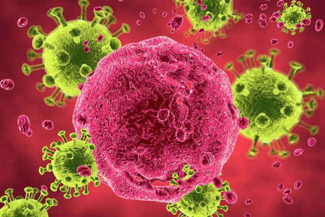 Đột phá mới trong điều trị khiến virus HIV ‘lộ diện’ bên trong các tế bào bạch cầu