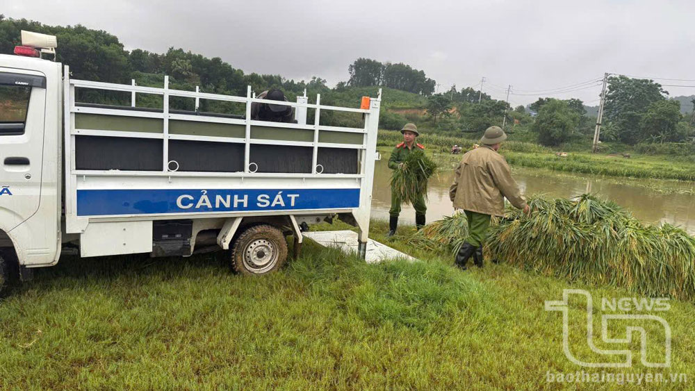 Thái Nguyên: Trên 260 hộ dân bị ảnh hưởng ngập lụt đã trở về nhà