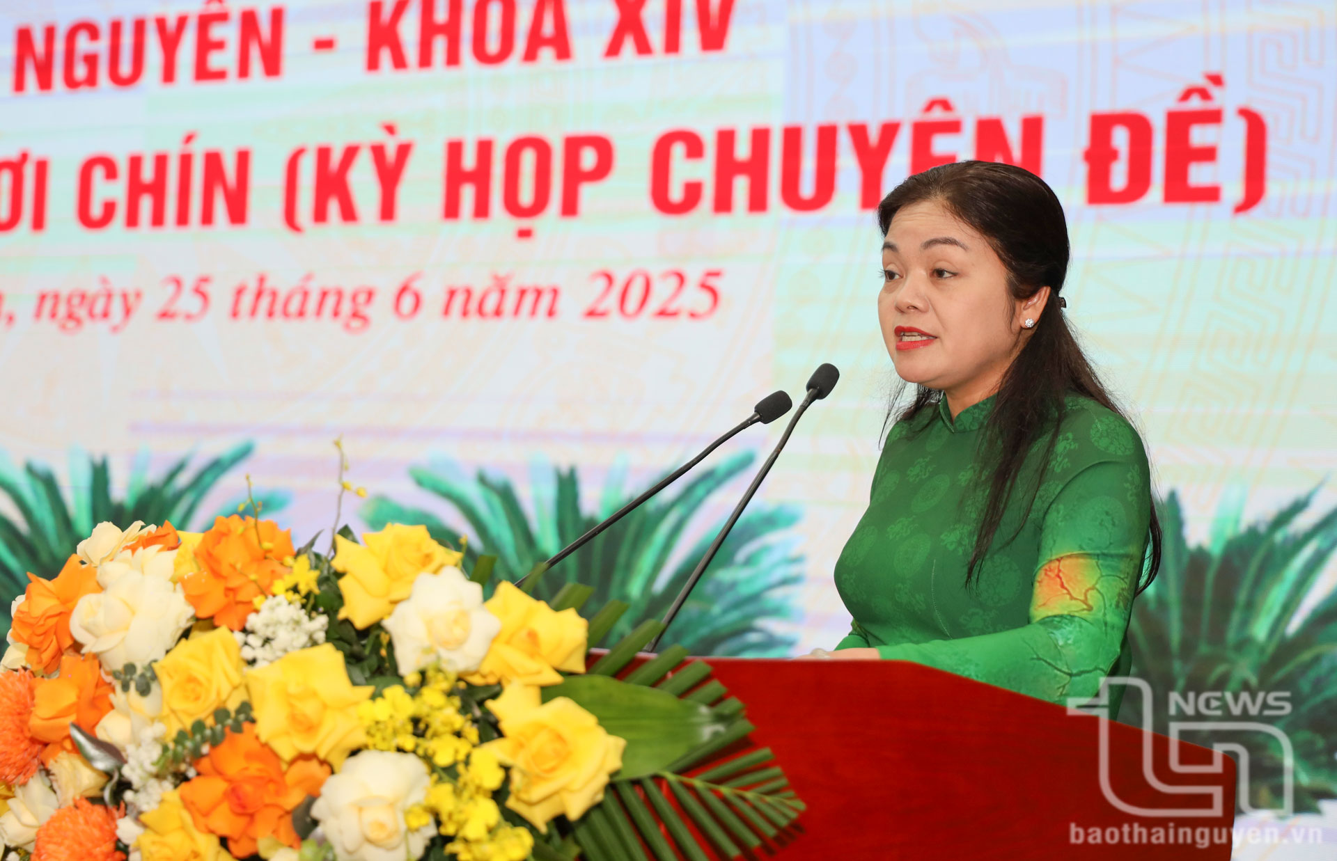 Đồng chí Nguyễn Thị Loan, Phó Chủ tịch UBND tỉnh, phát biểu tại Kỳ họp.
