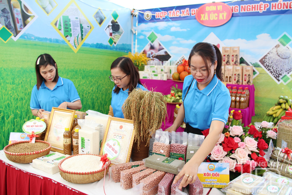 Phát huy hiệu quả mô hình hợp tác xã tại Phú Bình