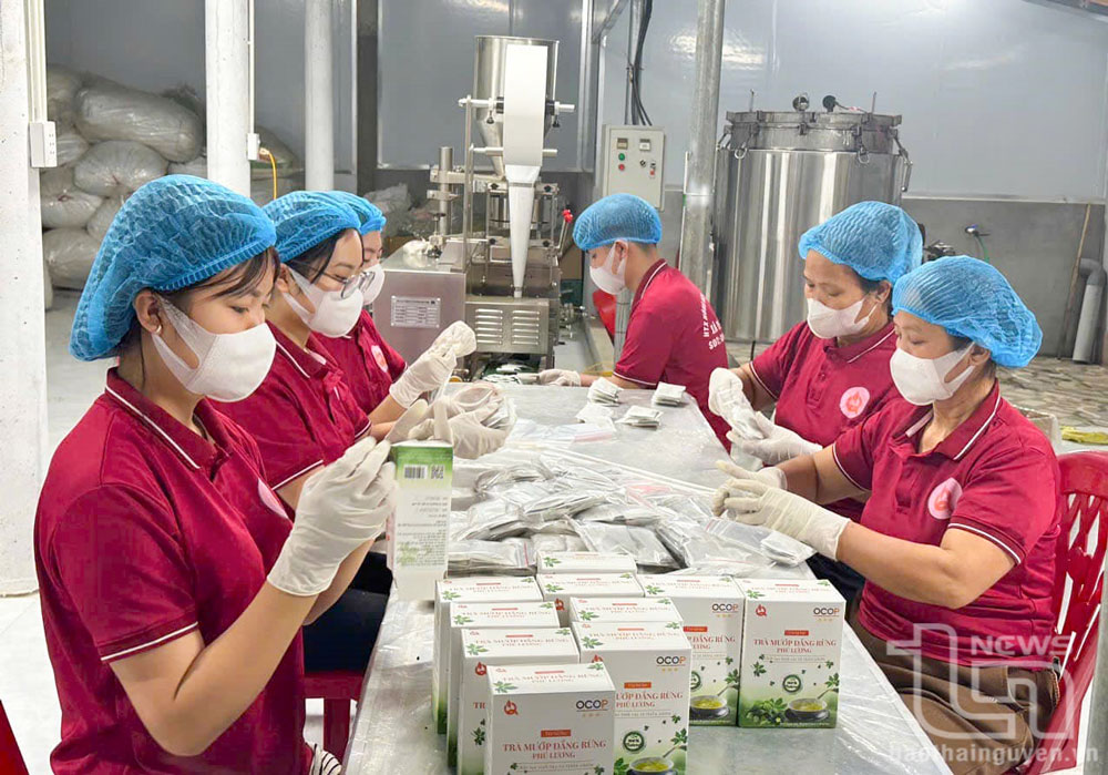 Nông dân Thái Nguyên thi đua sản xuất, kinh doanh giỏi