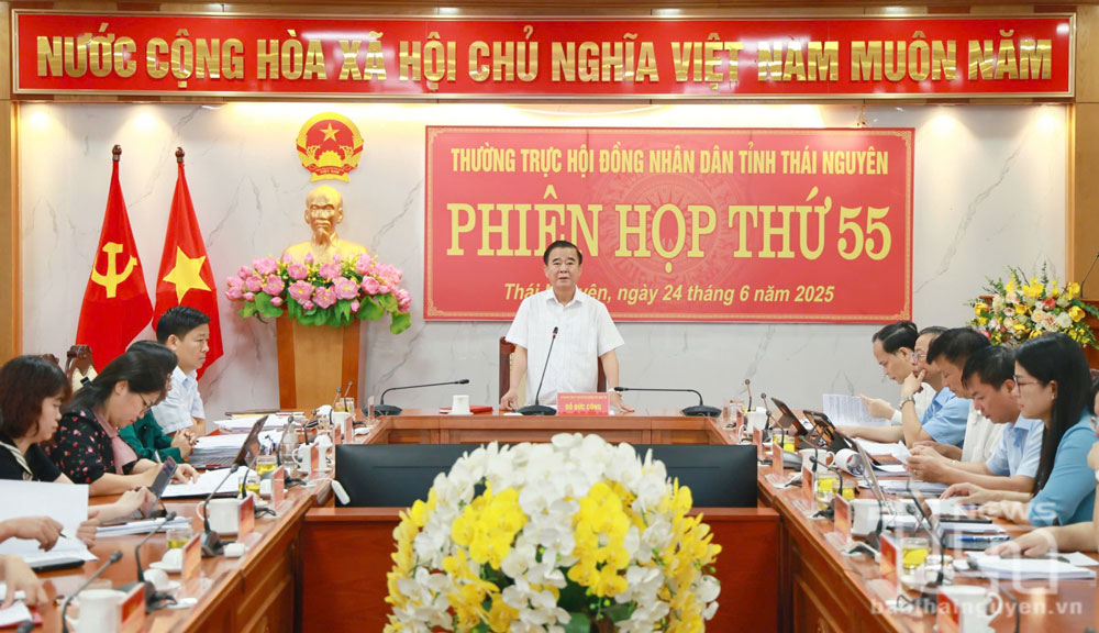 Đồng chí Phó Chủ tịch Thường trực HĐND tỉnh Đỗ Đức Công chủ trì Phiên họp thứ 55 của Thường trực HĐND tỉnh.