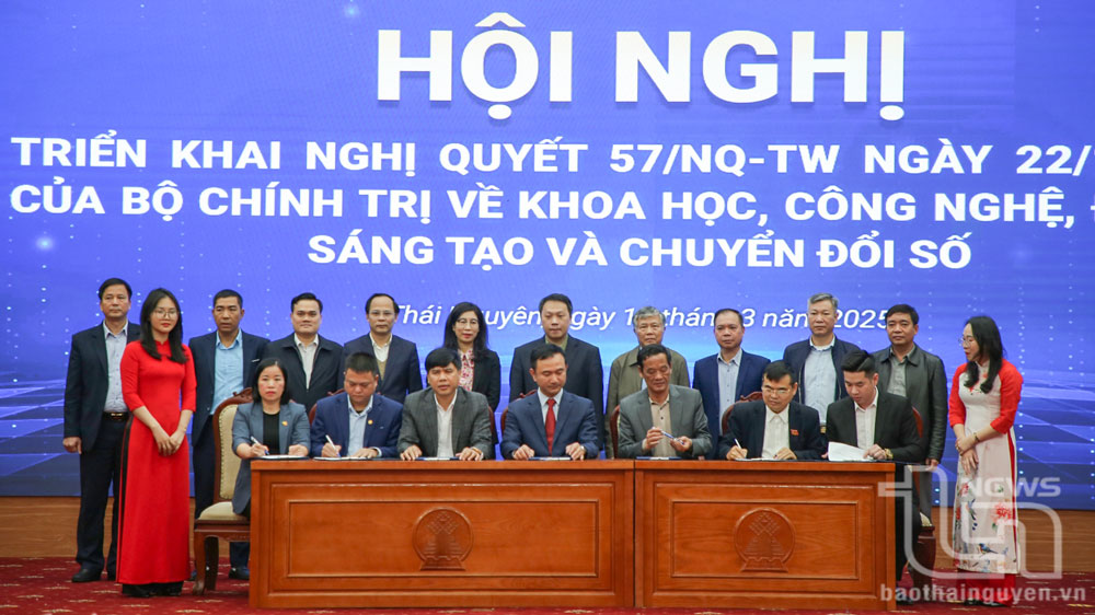 Phát huy tối đa tiềm năng, lợi thế sau hợp nhất