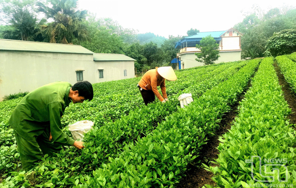 Đồng Hỷ: Các làng nghề thu hút trên 8.600 lao động nông thôn