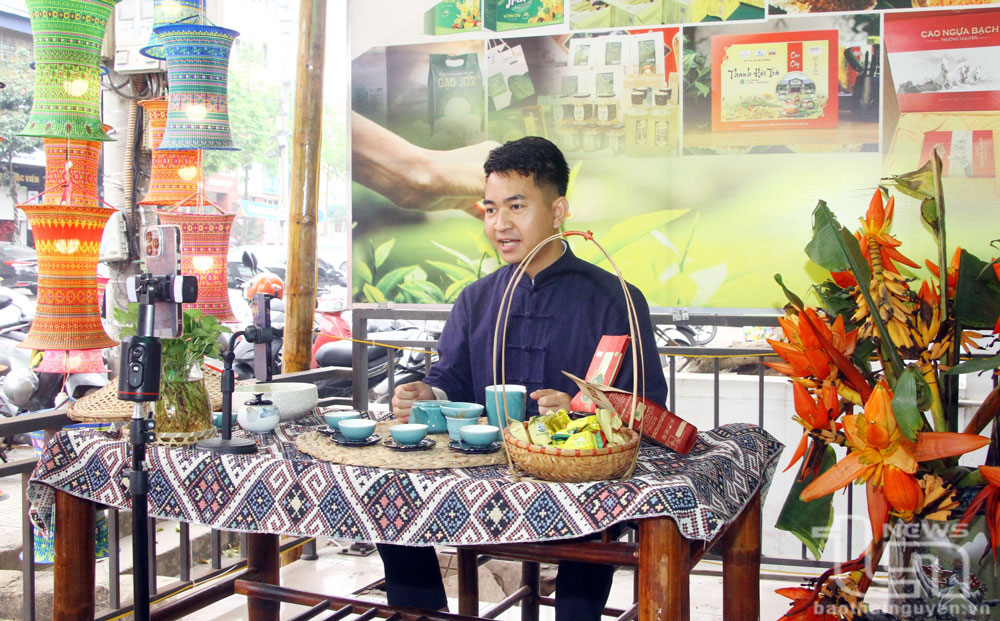 Hợp tác xã và mô hình phòng livestream chuyên nghiệp