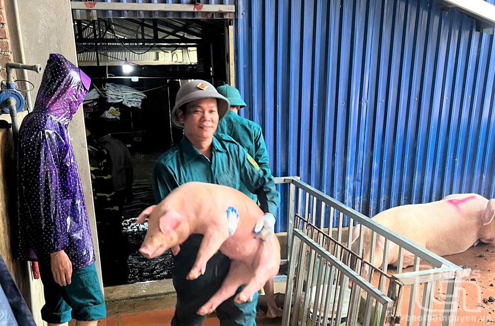 TP. Phổ Yên: Hỗ trợ người dân di dời tài sản khi nước sông Cầu dâng cao