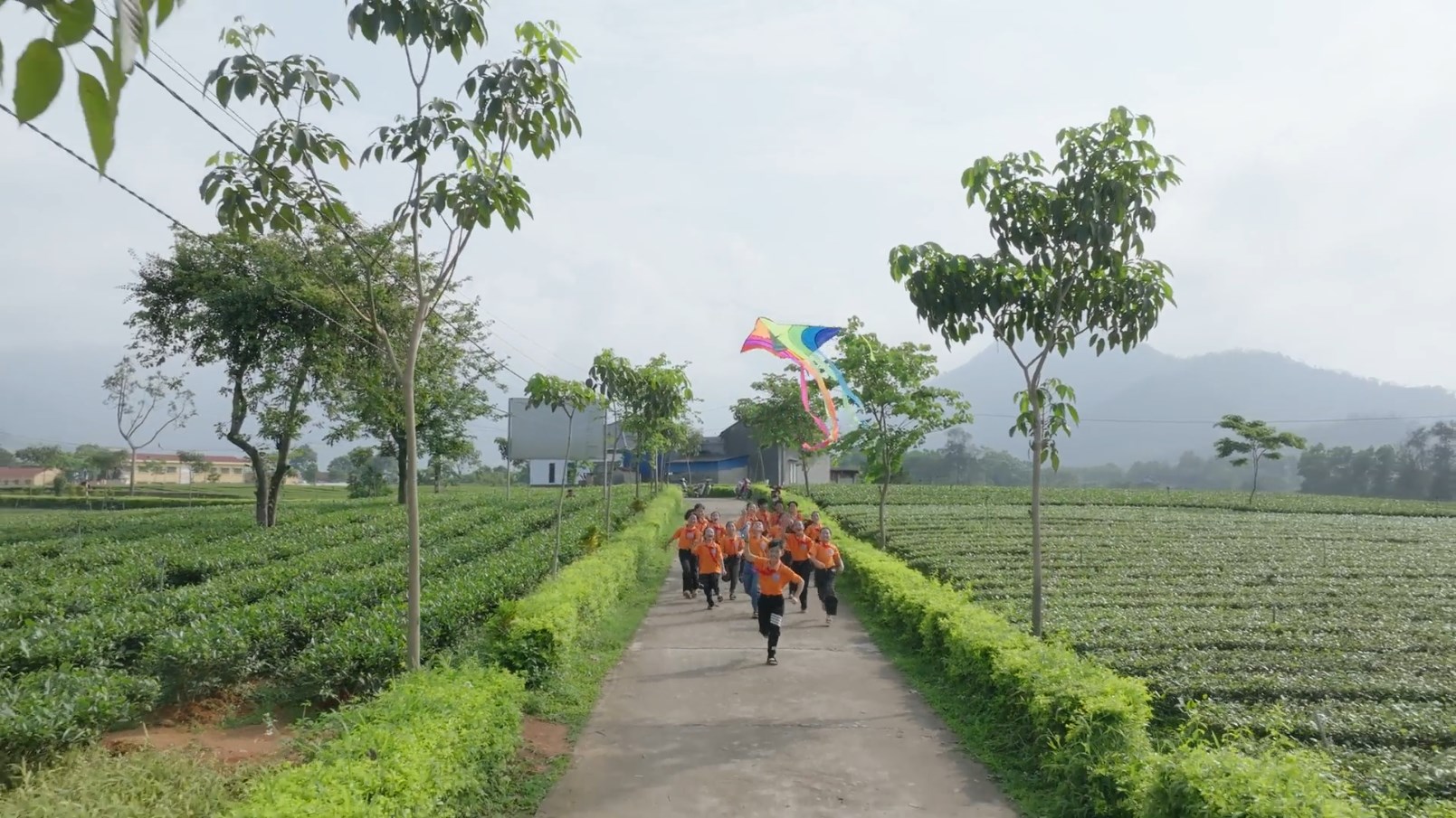 MV: Giấc mơ cánh diều