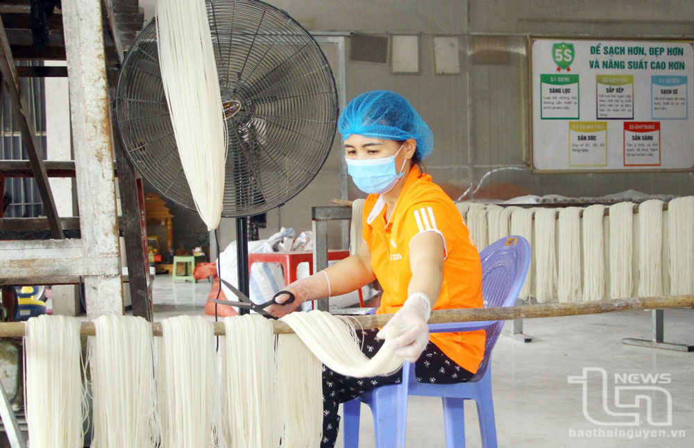 Sản xuất bún khô tại Hợp tác xã mỳ, bún khô Tiến Diện.