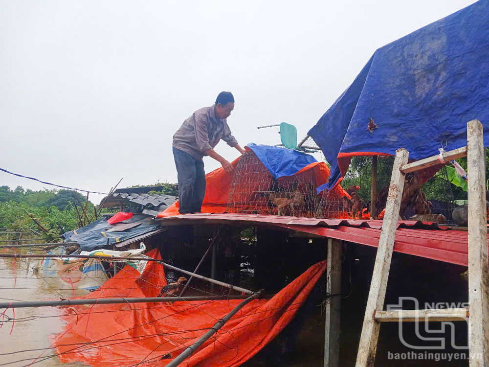 Chủ động ứng phó với ngập lụt