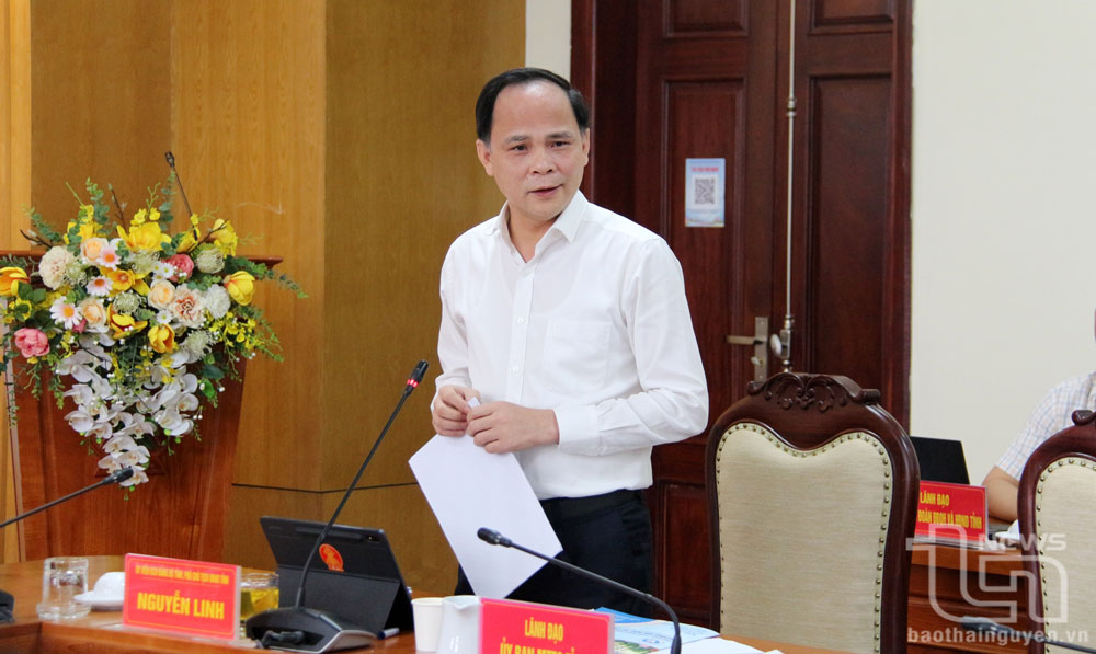 Đồng chí Phó Chủ tịch UBND tỉnh Nguyễn Linh phát biểu tại Hội nghị.