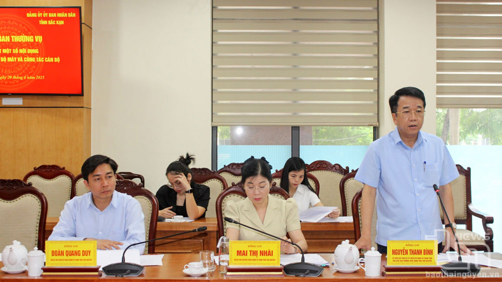 Đồng chí Nguyễn Thanh Bình, Ủy viên Ban Thường vụ Tỉnh ủy, Phó Chủ tịch Thường trực UBND tỉnh phát biểu tại Hội nghị.