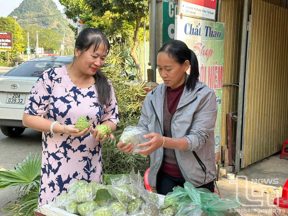 Nhà báo Bạch Liễu chăm chỉ đi cơ sở để đưa hơi thở cuộc sống vào các tác phẩm báo chí.
