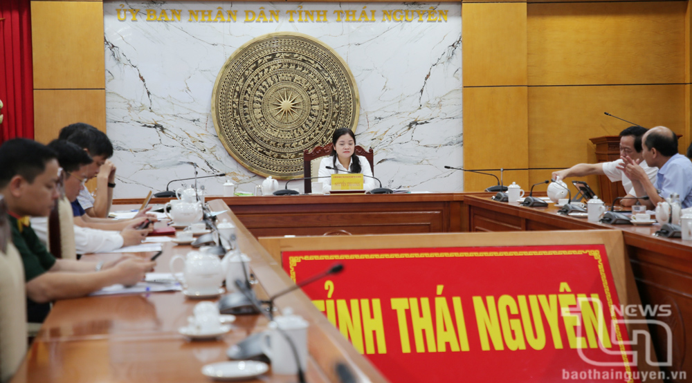 Đồng chí Phó Chủ tịch UBND tỉnh Nguyễn Thị Loan và đại diện các sở, ngành dự tại điểm cầu Thái Nguyên.