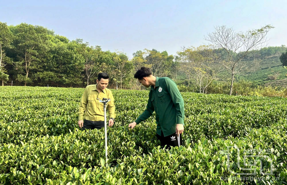 Sức sống mới ở Phú Lạc