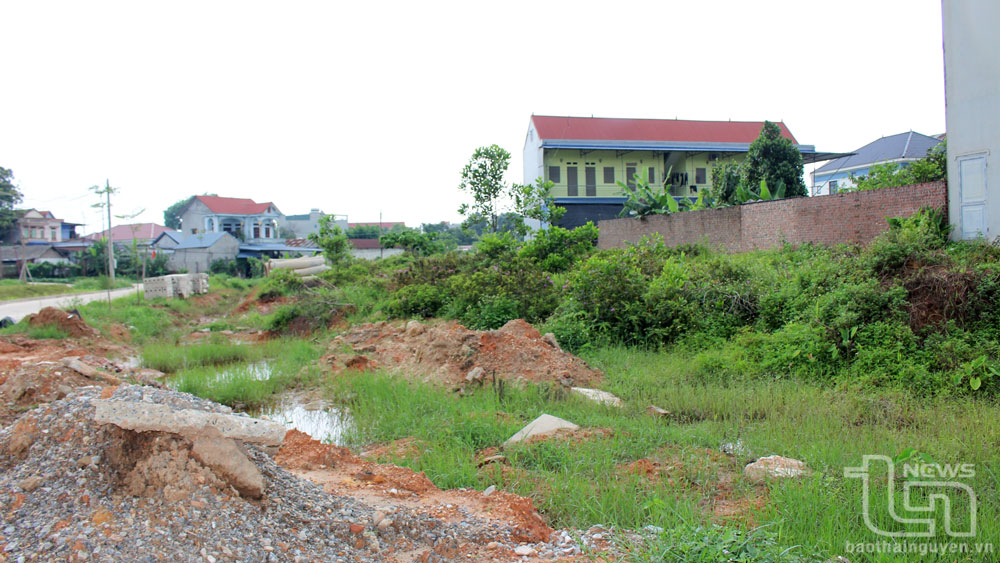 Sau nhiều năm triển khai, đến nay, nhiều khu đất tại Khu tái định cư Thanh Hoa, phường Đồng Tiến, TP. Phổ Yên, vẫn là những bãi đất trống, có nơi đã tạo thành những vùng trũng thấp, gây ngập úng khi trời mưa to.
