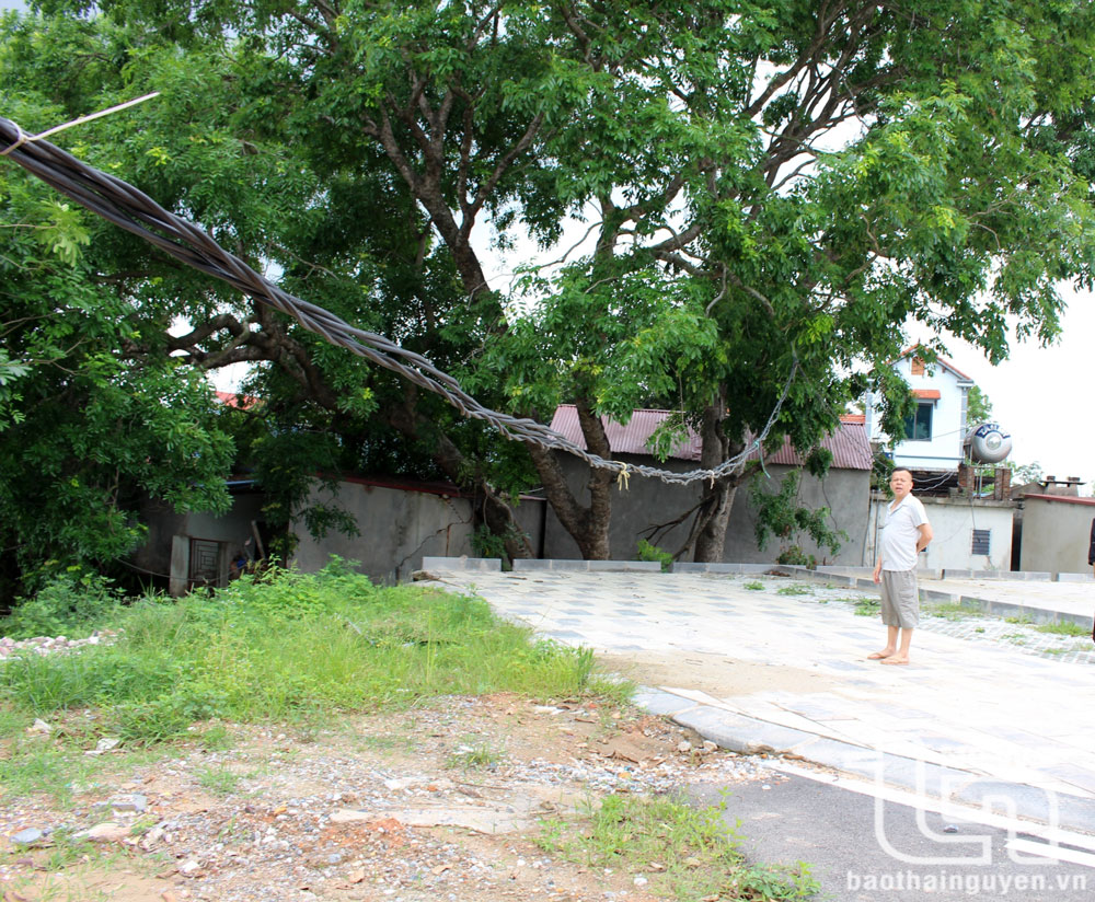 Hệ thống điện tại Khu tái định cư Thanh Hoa được kéo tạm bợ, ảnh hưởng đến sinh hoạt của nhân dân, tiềm ẩn nguy cơ mất an toàn.