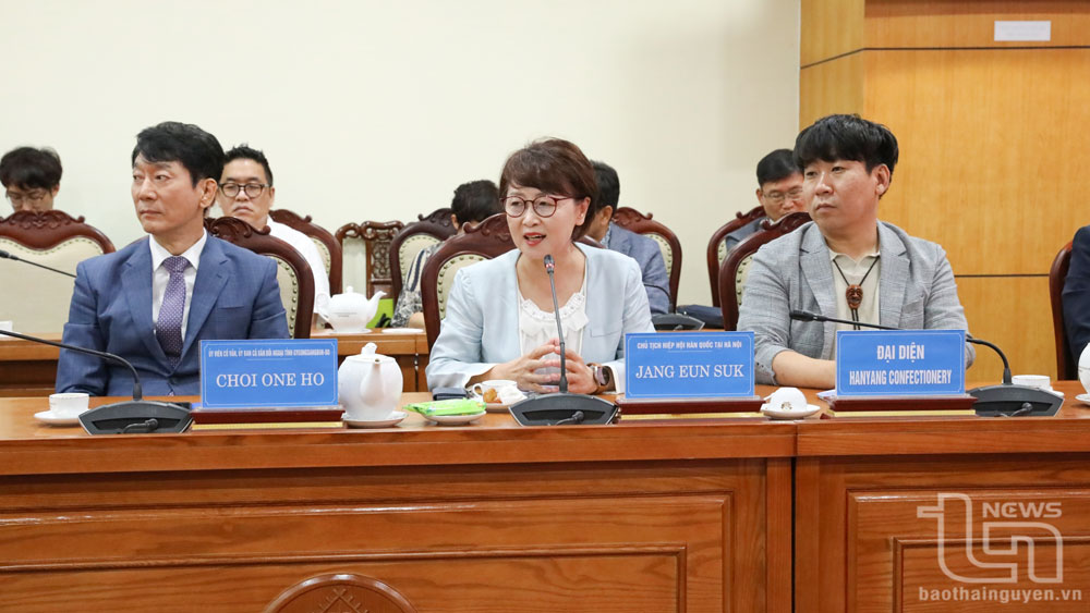 Đại diện các doanh nghiệp Hàn Quốc trao đổi nhu cầu, tiềm năng hợp tác với tỉnh Thái Nguyên.