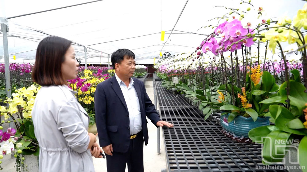 Thành phố Sông Công: 40 năm vẹn tròn sứ mệnh lịch sử