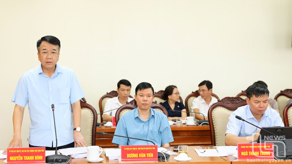 Nguyễn Thanh Bình, Phó Chủ tịch Thường trực UBND tỉnh