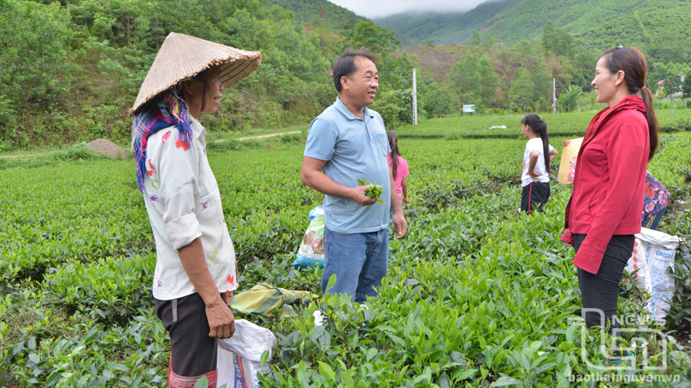 Người 'thuyền trưởng' của bản Mông