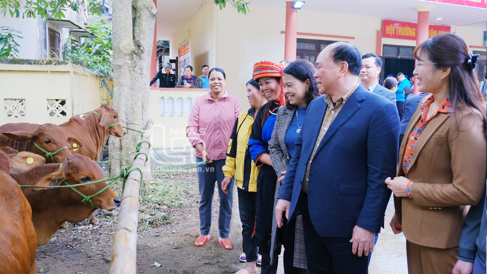 Ông Nguyễn Huy Quý, Tổng Giám đốc Công ty trao tặng 10 con bò sinh sản cho các hộ nghèo xã Thần Sa (tháng 01-2023).  Ảnh: Lăng Khoa