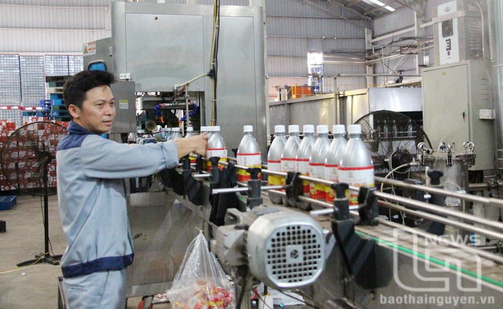 Phú Bình: Giải quyết việc làm cho gần 1.600 lao động