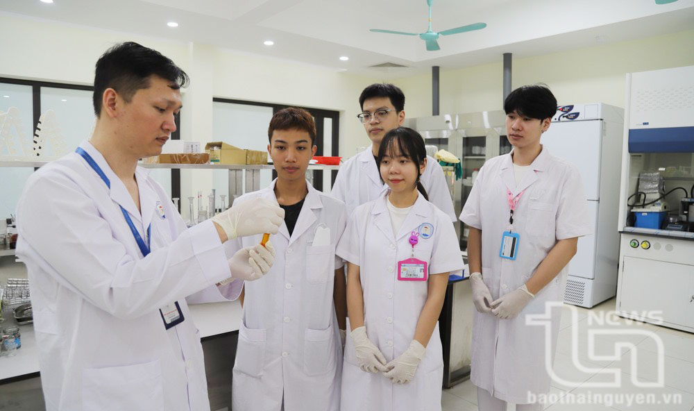 Đại học Thái Nguyên công bố điểm sàn tuyển sinh đại học, cao đẳng năm 2024
