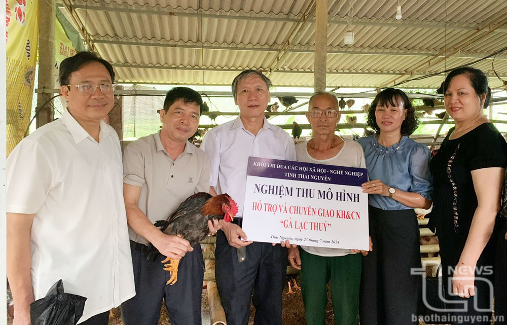 Nghiệm thu mô hình nuôi gà Lạc Thủy