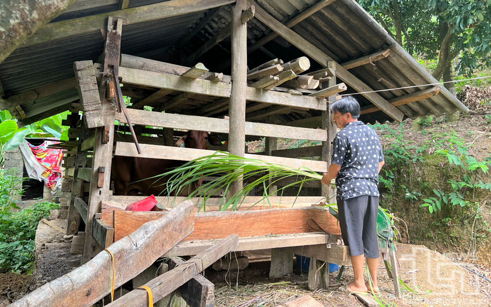 Đồng Hỷ: Phấn đấu giảm hơn 500 hộ nghèo và cận nghèo