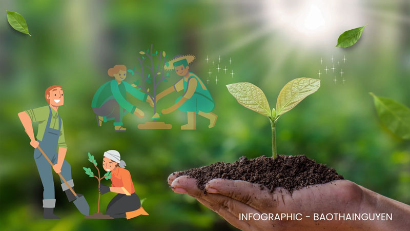 Điều chỉnh chủ trương đầu tư dự án bảo vệ và phát triển rừng