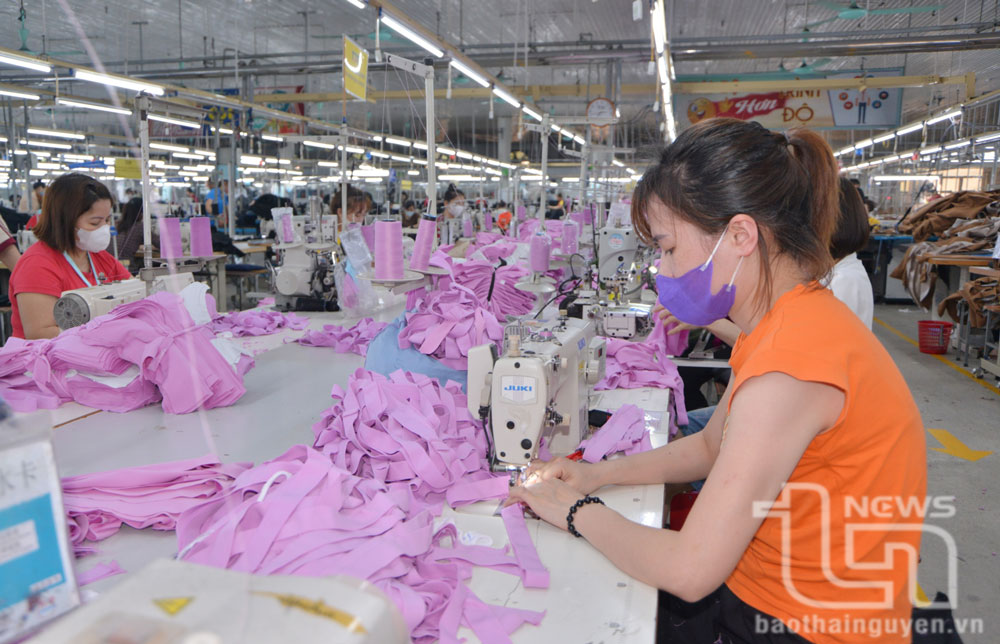 Phấn đấu trên 2.600 lao động qua đào tạo được giới thiệu, tuyển dụng