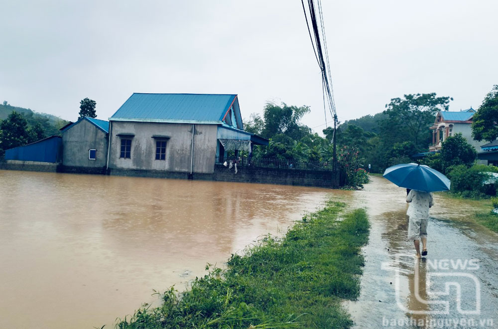 Đại Từ: Mưa lớn ảnh hưởng đến đời sống, sản xuất của nhân dân
