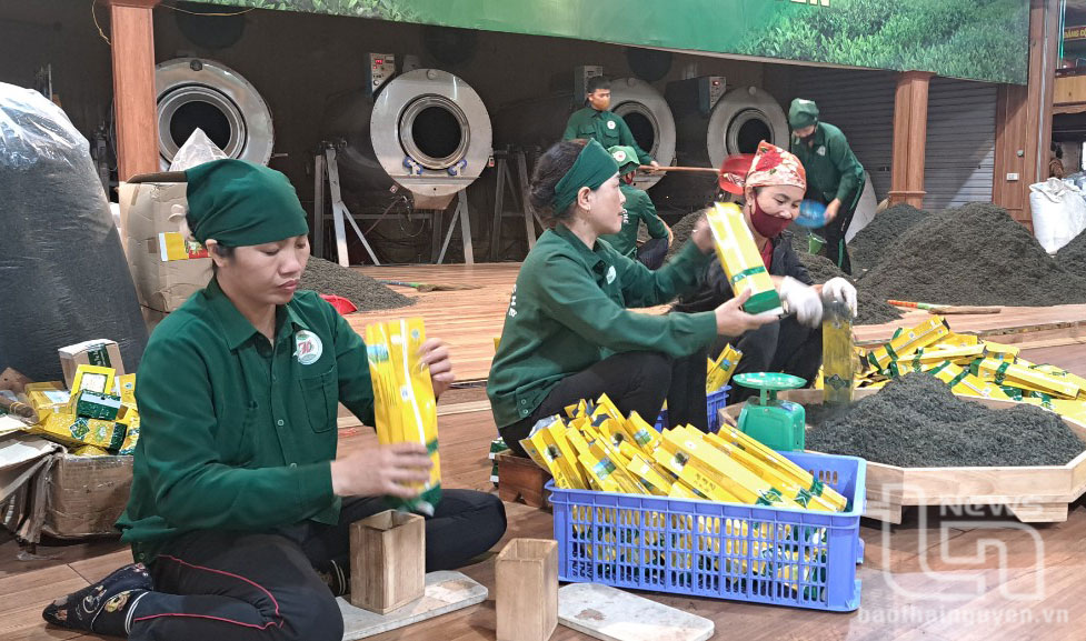 Thái Nguyên: Thành lập mới 3.412 doanh nghiệp