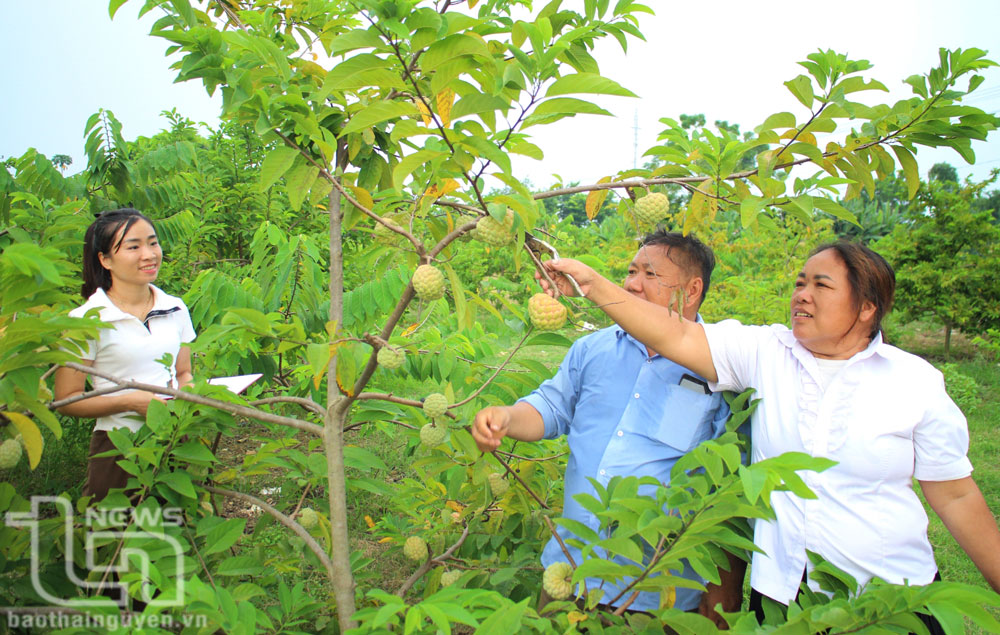 Bí thư chi bộ giỏi không chỉ từ hội thi