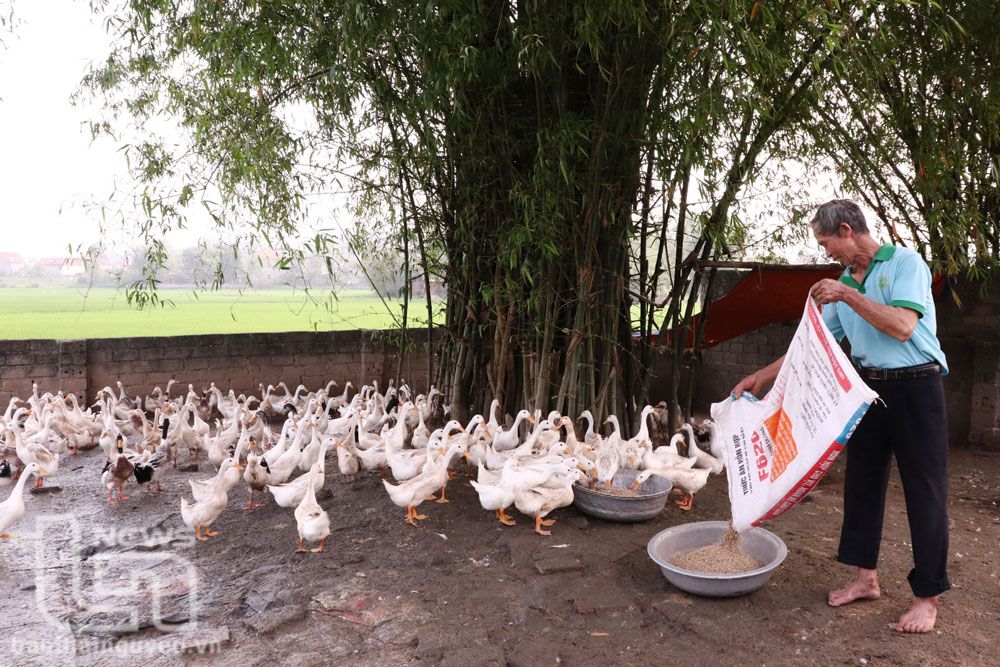Phú Bình: Trên 14.300 hộ được vay vốn tín dụng chính sách