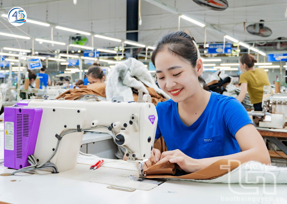 May sản phẩm xuất khẩu tại TNG.