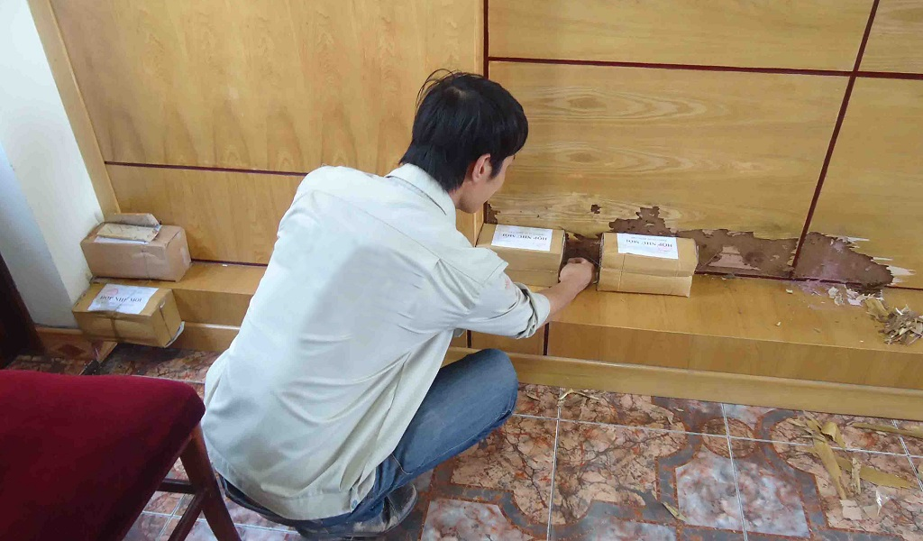 Dịch vụ phòng chống mối, diệt mối tận gốc uy tín tại Hải Dương của Diệt Mối 24H