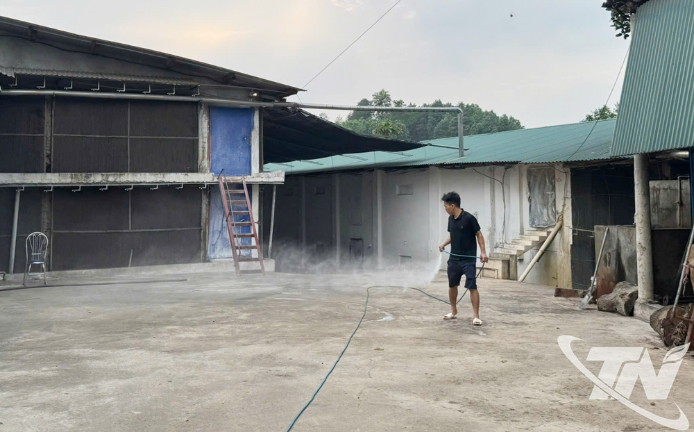 Đảm bảo an toàn dịch bệnh - hướng đi bền vững cho phát triển chăn nuôi