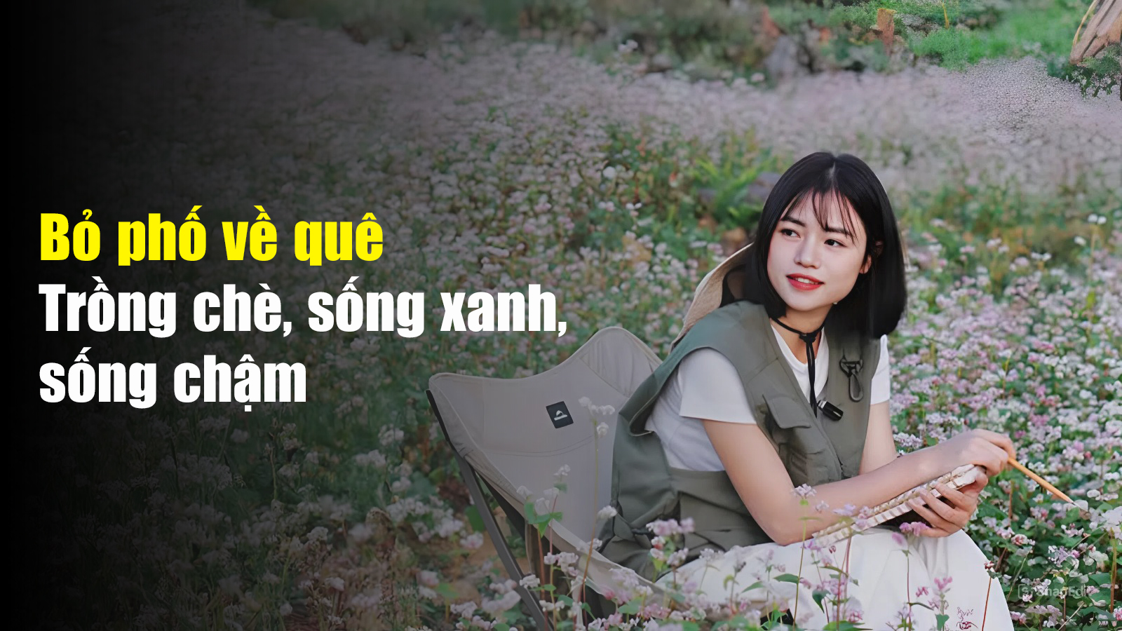 Bỏ phố về quê – Trồng chè, sống xanh, sống chậm