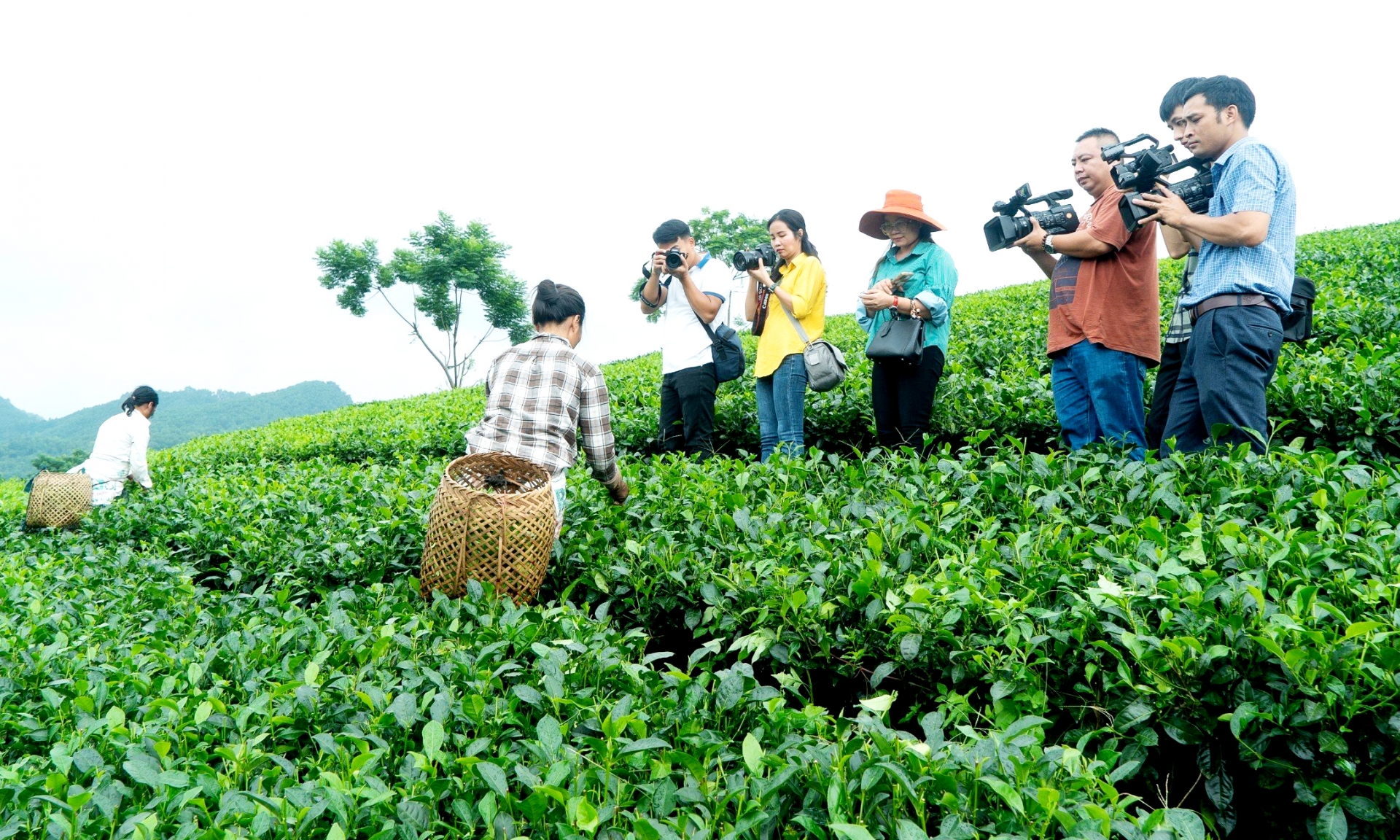 Báo và Phát thanh, Truyền hình Thái Nguyên: Hội tụ nền tảng, đồng lòng khát vọng