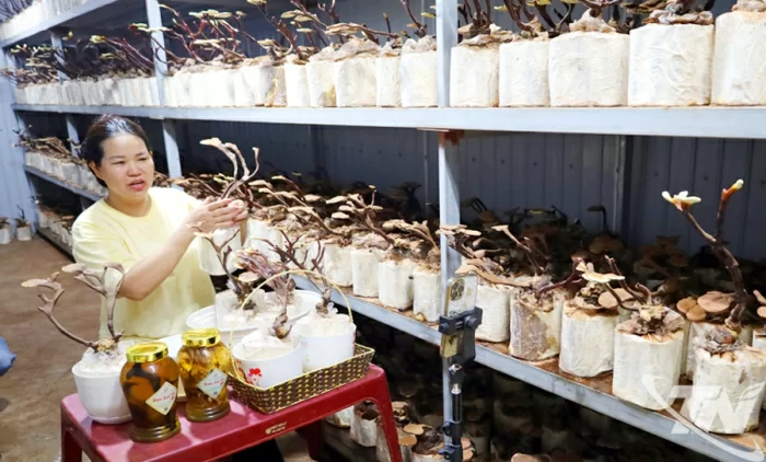 Chuyển đổi số không còn là khẩu hiệu