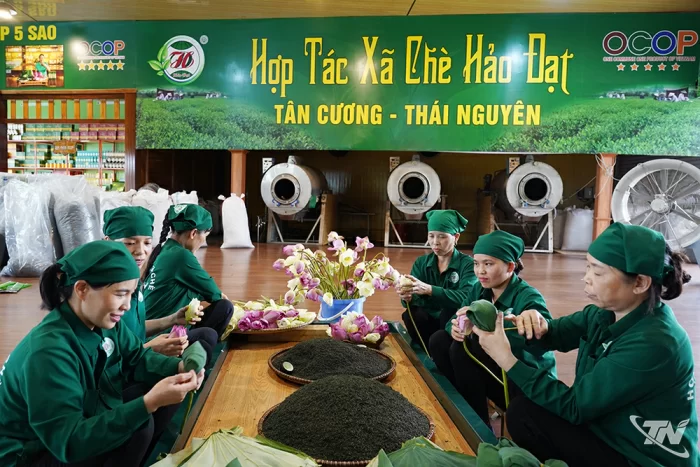 Đổi mới trong sản xuất nông nghiệp