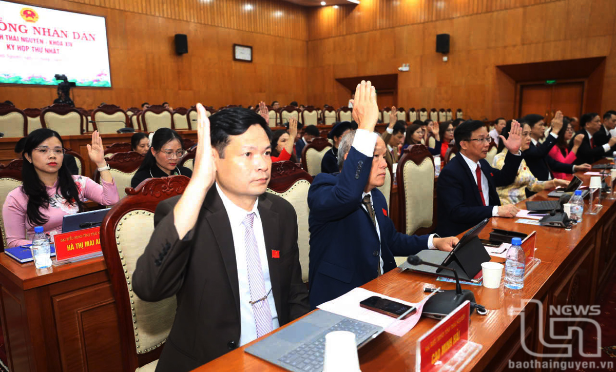 Các đại biểu HĐND tỉnh biểu quyết thông qua các tờ trình, nội dung tại Kỳ họp.