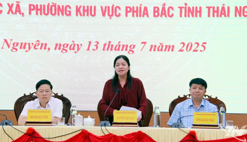 Đồng chí Nguyễn Thị Loan, Phó Chủ tịch UBND tỉnh phát biểu tại Hội nghị.